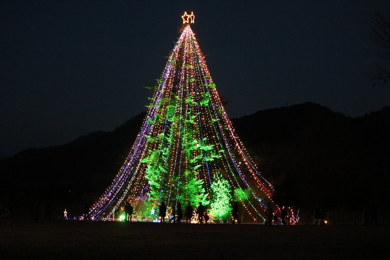 日本一のクリスマスツリー 神奈川県 宮ヶ瀬ダムのイルミネーション 冬の散歩道