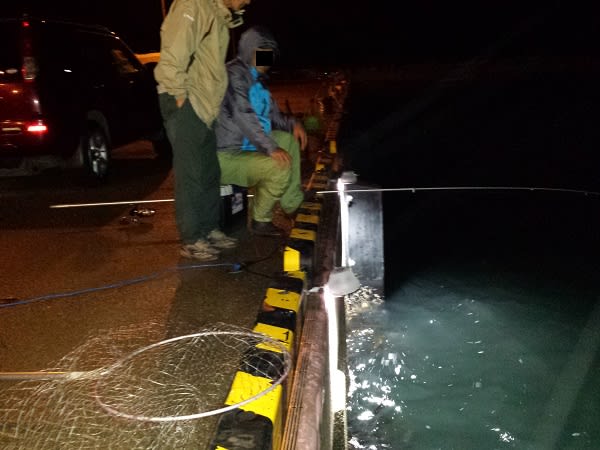北海道 気まま旅 27日目 鮭のサビキ釣り 写楽湯遊 北海道 気まま旅 27日目 鮭のサビキ釣り 写楽湯遊