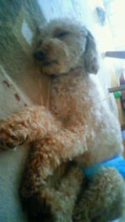 201007031724000.jpg