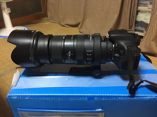 sigma00.jpg