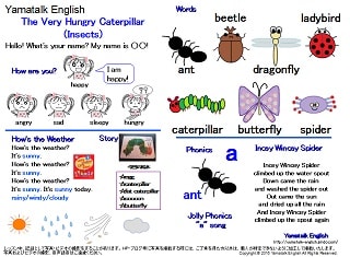 親子英語 虫の名前を英語で覚えよう Insects 東京オンライン英語教室のyamatalk English でジョリーフォニックスも習えます