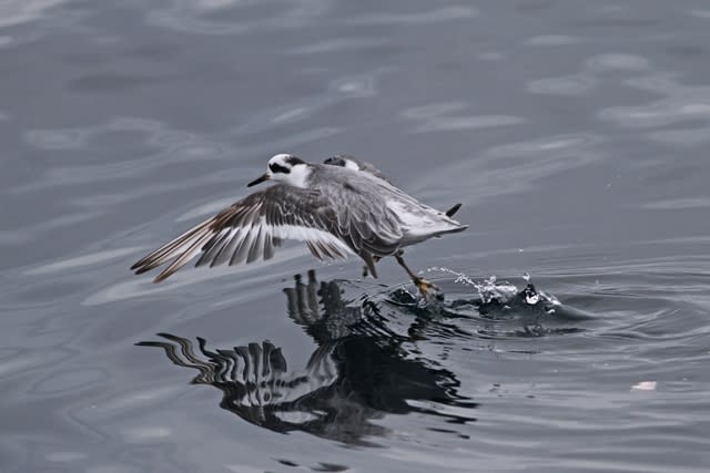 Img_6893 Img_6893