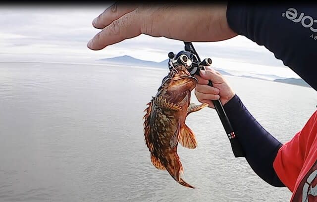 熊本堤防 ２週連続の五目釣りと堤防メシ ジャッキーの熊本天草の五目釣り Youtube くまもと釣りキャンｂｙjackabu