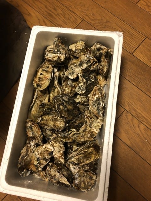 食べチョク】宮城県産 殻付き 牡蠣（無選別牡蠣）３ｋｇ美味しかった！＜#農家漁師からのSOS - へぇ～ばな