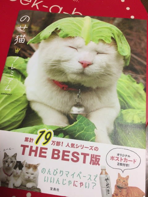 のせ猫 プレミアム Shironeko 宝島社 Wakakoyaブログ 思いたったがキチジツ