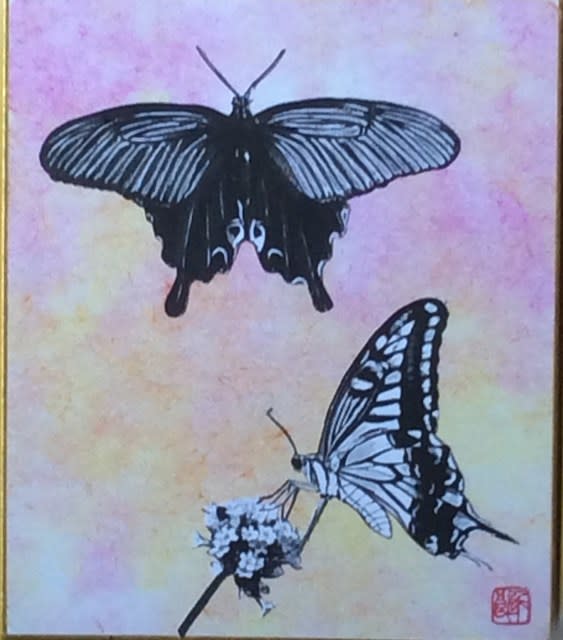 アゲハ蝶 リアル切り絵 小色紙210x1 モーリの剪画 切絵 を愉しむ