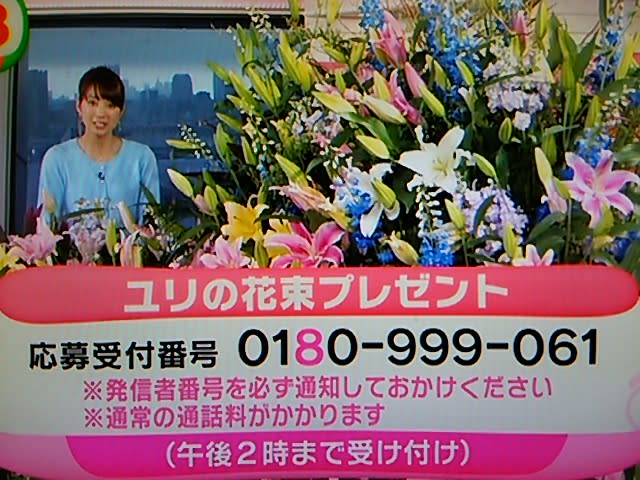 4月3日 めざましテレビお花プレゼント パルちゃんの国