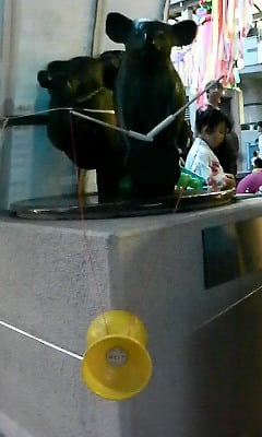200908081833000.jpg