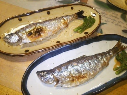 ヒメマス 食らう ドバ食らう 松田克久のワカサギ 鮎スパーク天国