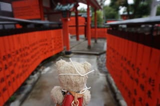 パワースポットの 車折神社 境内の社を参拝 金運と美しさを備えた人生を 弁天神社 など ネコのミモロのjapan Travel ｍｉｍｏｒｏ ｔｈｅ ｃａｔ Japan Travel