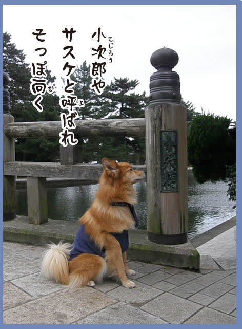 特別に おりこう犬は 店ok 日本海グルメ旅日記1 雑種犬 風 ふう のひとりごと