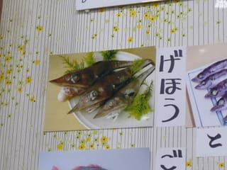 深海魚料理 魚重食堂 リーチ君のお散歩日記