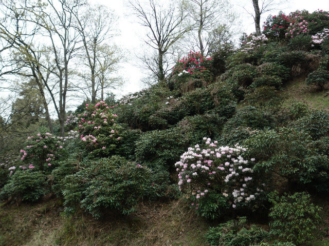 DSC05709.jpg