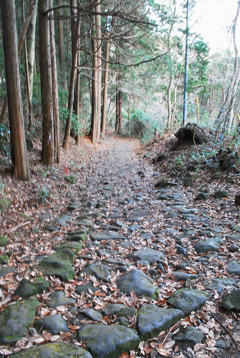 クリックすると大きな画像が表示されます width=