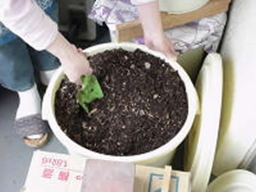 もう 生ごみは捨てない ベランダで作る循環型生ごみ堆肥 はらっぱくらぶ 東京23区のごみ問題を考える