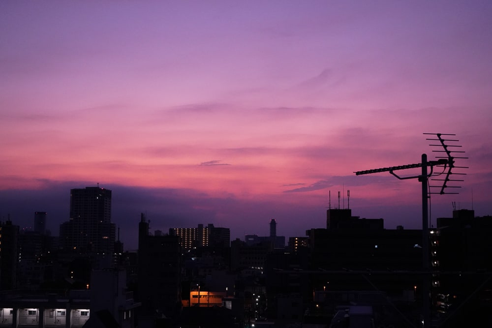 ゴミ屋敷予備軍のマンション選び ムラサキの夜明け 夜の住友不動産ビル大崎 睡蓮の千夜一夜