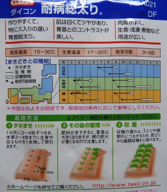 越冬用大根播種 - ｍｔ７７のｂｌｏｇ