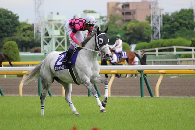 こちらも混戦模様 まる子の気ままなつぶやき