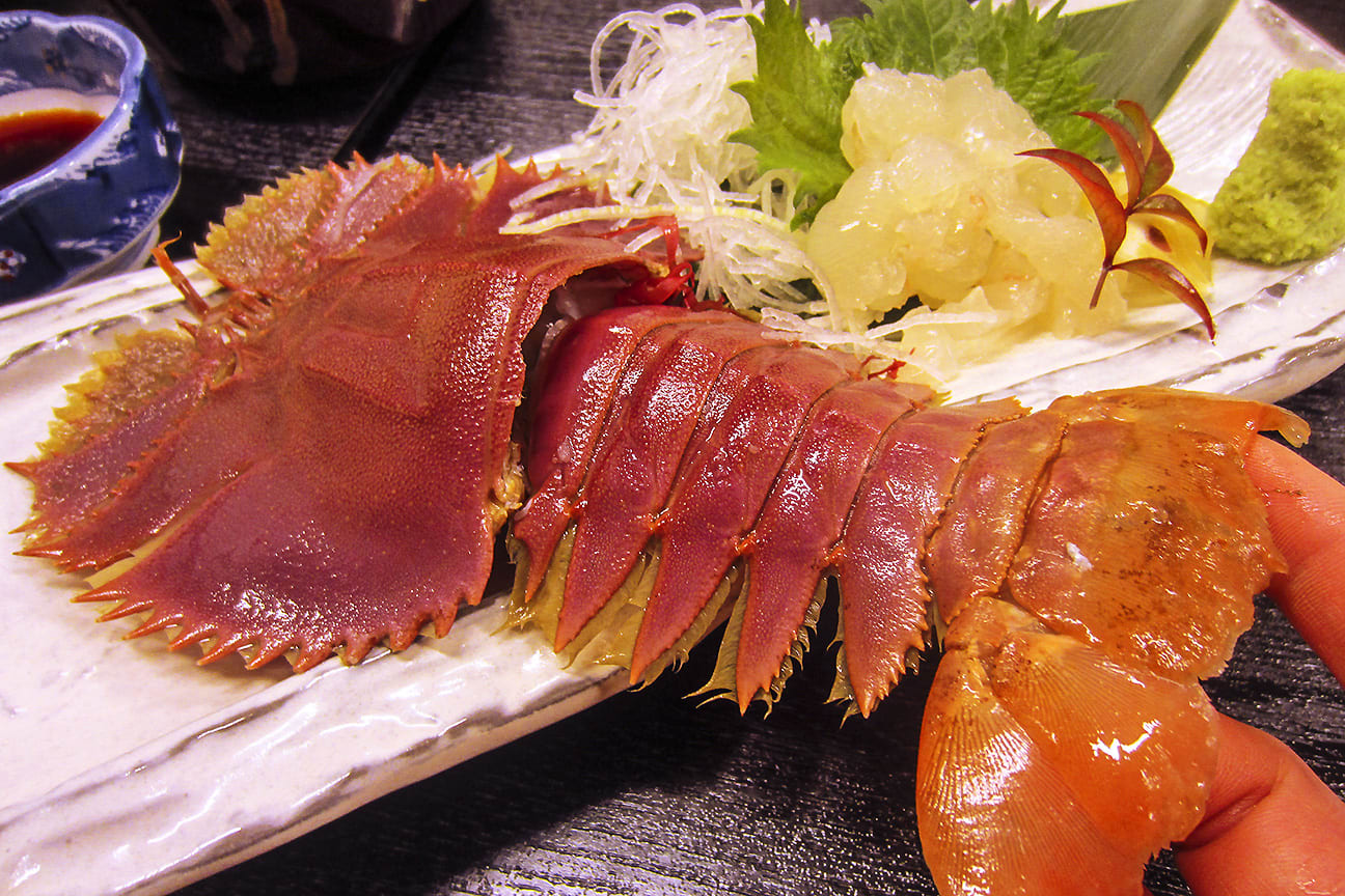 うちわ海老 容姿からは想像できない美味しさ 炎のクリエイター日記