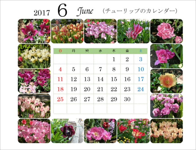 花で囲まれた カレンダー 17 6月 今週のこんなニュース