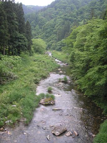 小鳥川で渓流ルアー ぽんた ぷらり