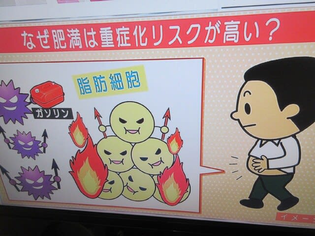 Tv朝日 好きなイラスト 肥満の男性 銀の人魚の海