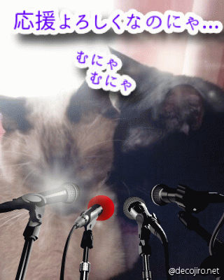 19年12月のブログ記事一覧 猫的下僕生活 19年12月のブログ記事一覧 猫的下僕生活