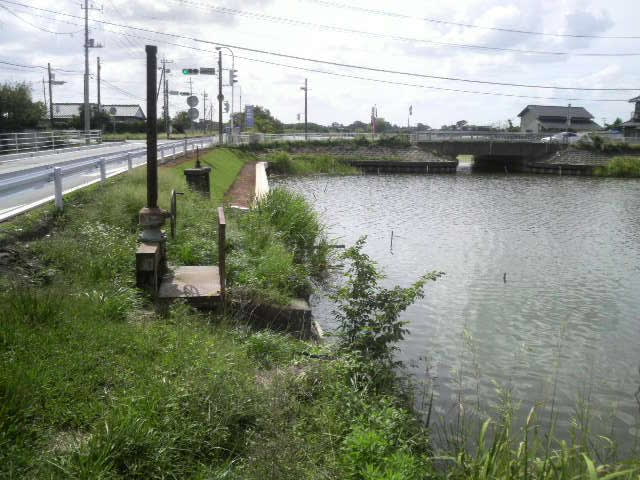 道路も、岸も綺麗になっていた。