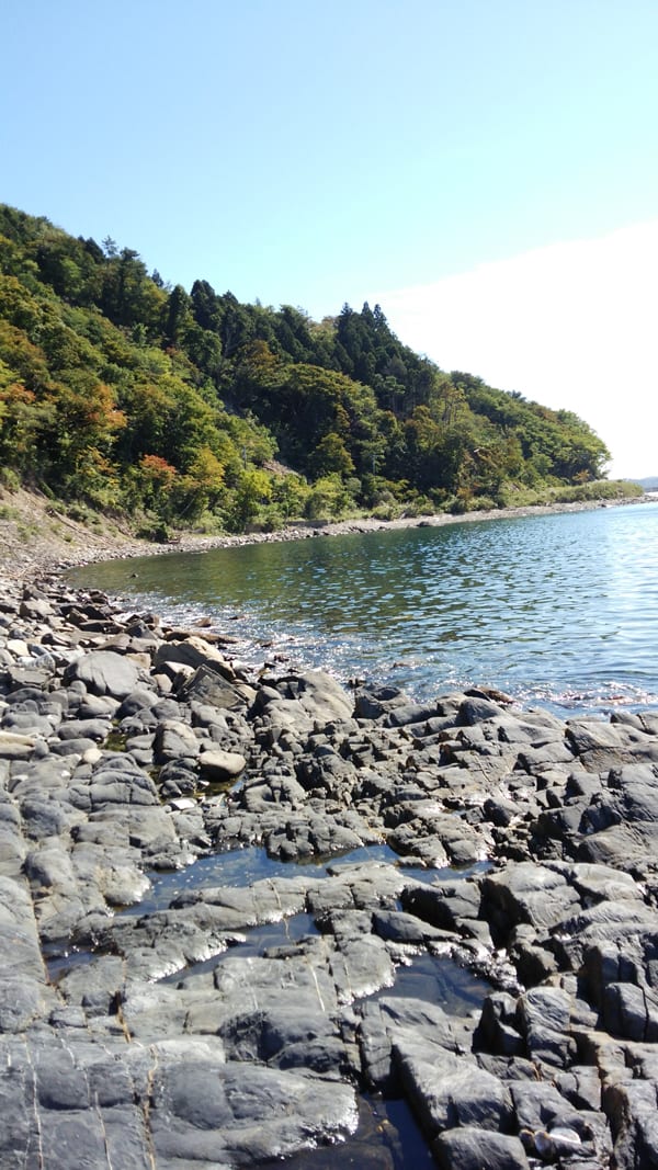宮城県 牡鹿半島 ロックフィッシュ状況 Reins ソルトウォーターレポート 宮城県 牡鹿半島 ロックフィッシュ状況 Reins ソルトウォーターレポート