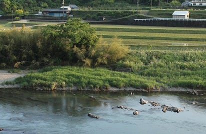 天の川沈下橋 四万十凸凹隊 ごぞまる絵日記 天の川沈下橋 四万十凸凹隊 ごぞまる絵日記