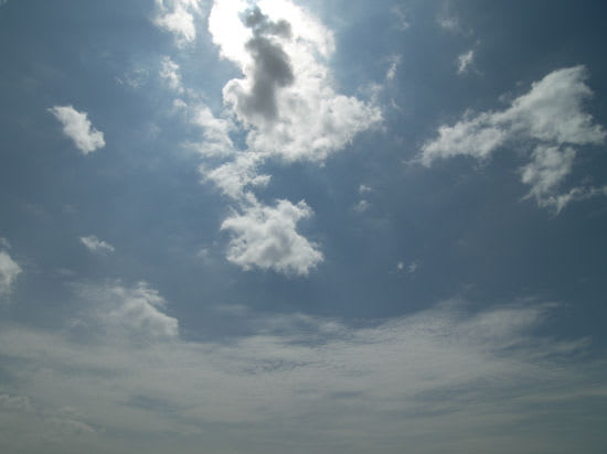 110628100_8313 110628100_8313