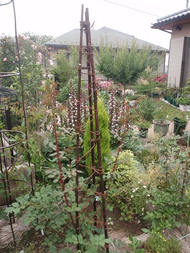 手作りオベリスク その2 からももの庭 手作りオベリスク その2 からももの庭