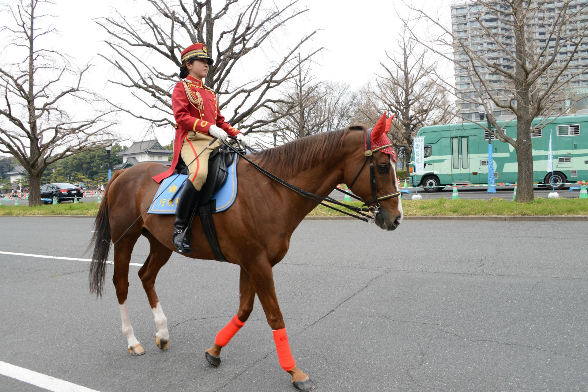 警視庁 騎馬隊 ２ 北の大地そして東京