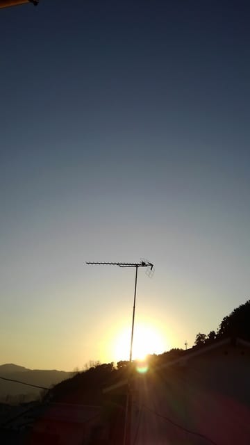 シリウス 久々の虹色纏う龍 我が家の 龍も 日々徒然なるままに