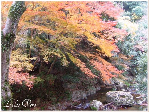 渓谷に映える紅葉