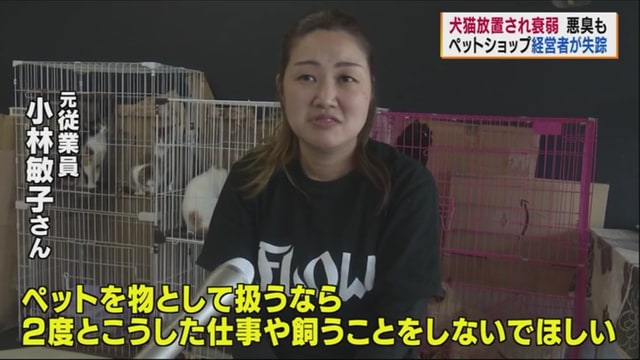 衰弱した犬猫40匹を店内に放置し経営者失踪 動物たちにぬくもりを