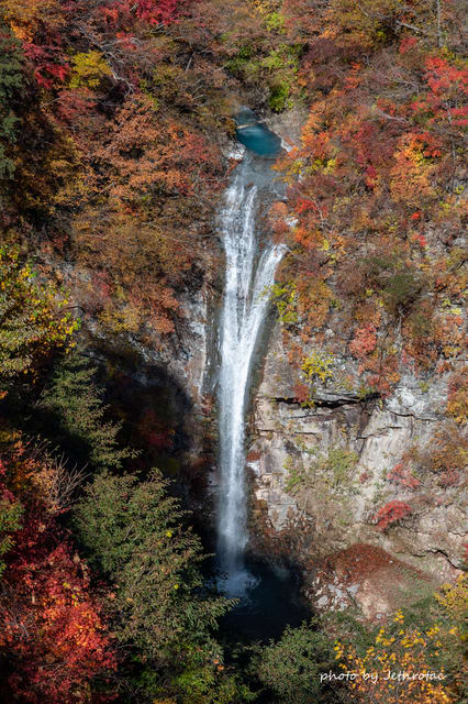 DSC_0954_komadome-fall.jpg