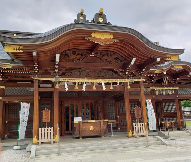立川 諏訪神社5 12 猫 桜 自然 発煙筒 祭り 時々御酒と独り言