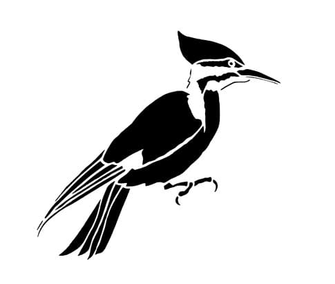 美しい鳥のシルエットのイラスト 清水正廣のバードカービング アート