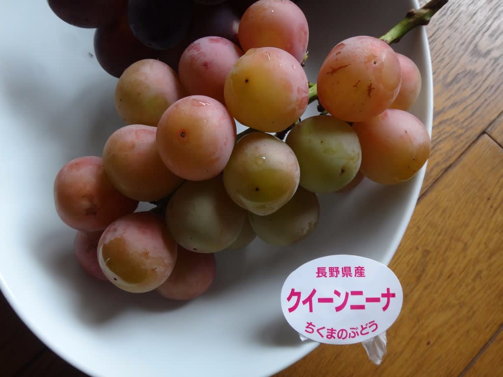 クイーンニーナ ぶどう 採集生活 クイーンニーナ ぶどう 採集生活