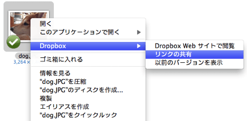 共有 dropbox