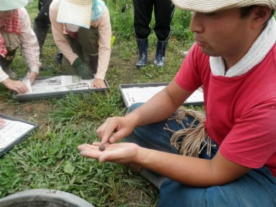 粘土団子の作り方 マニュアル 無農薬 自然菜園 自然農法 自然農 で 自給自足life 持続可能で豊かで自然な暮らしの分かち合い