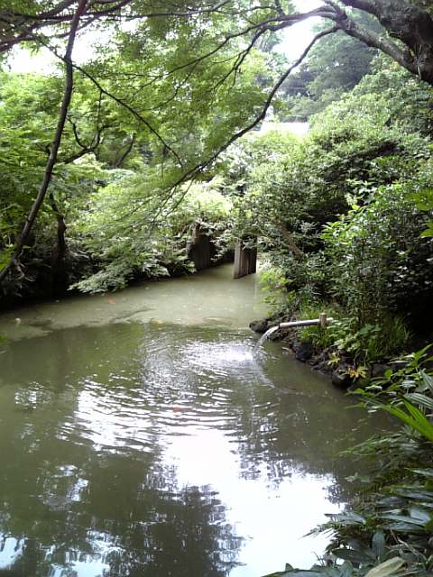 池
