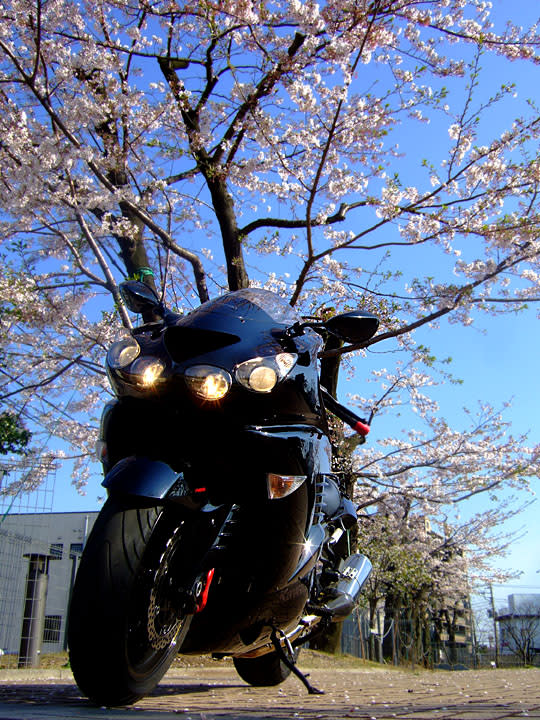 桜 ZZR1400 黒風