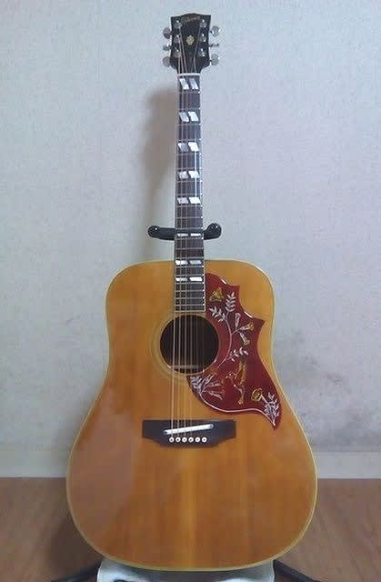 直販半額 1970年代レア、gibsun（zenon） ハミングバード　ギター アコースティックギター