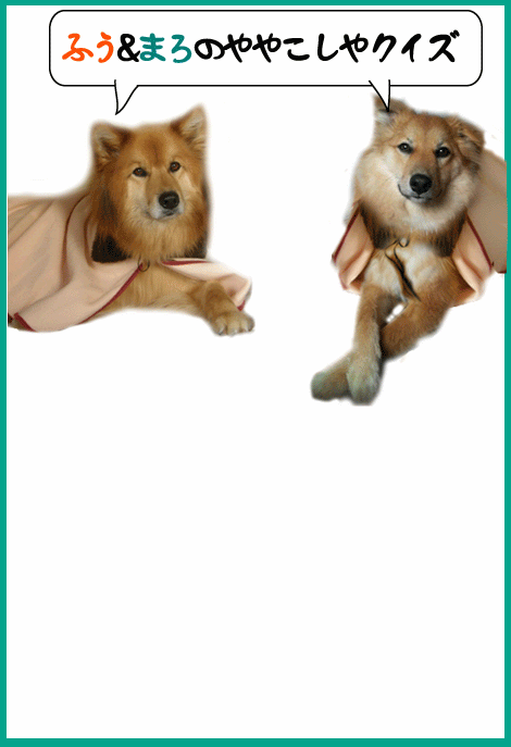 悲しみが 止まらなくなり 号泣す 雑種犬 風 ふう のひとりごと 悲しみが 止まらなくなり 号泣す 雑種犬 風 ふう のひとりごと