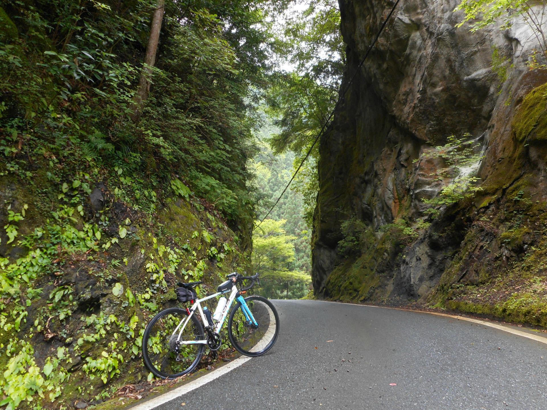 スーパー前の自転車の山