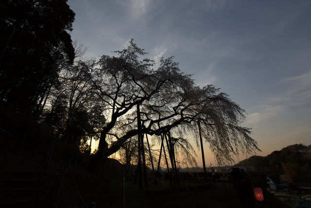 102A7986.jpg
