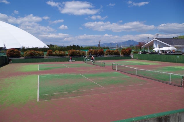 テニス jop 選手登録:一般｜日本テニス協会公式サイト[JTA]