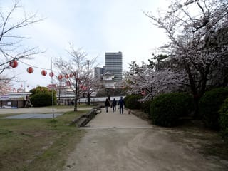 公園Ｄ